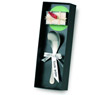 Rosito serving spoon
